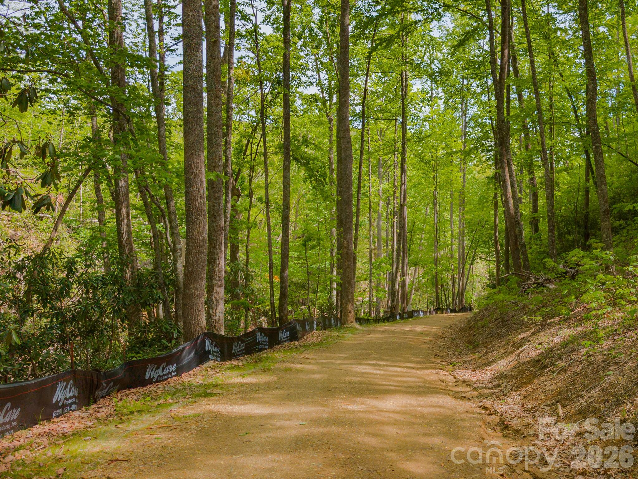 10.1 Acres On Old Fort Road Fairview NC 28730