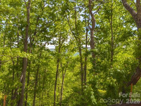 10.1 Acres On Old Fort Road Fairview NC 28730