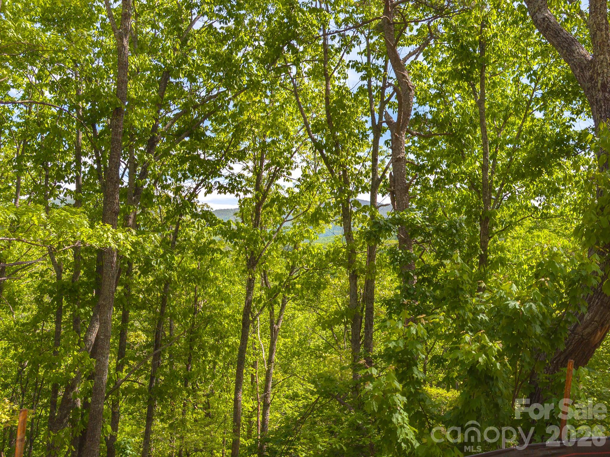 10.1 Acres On Old Fort Road Fairview NC 28730