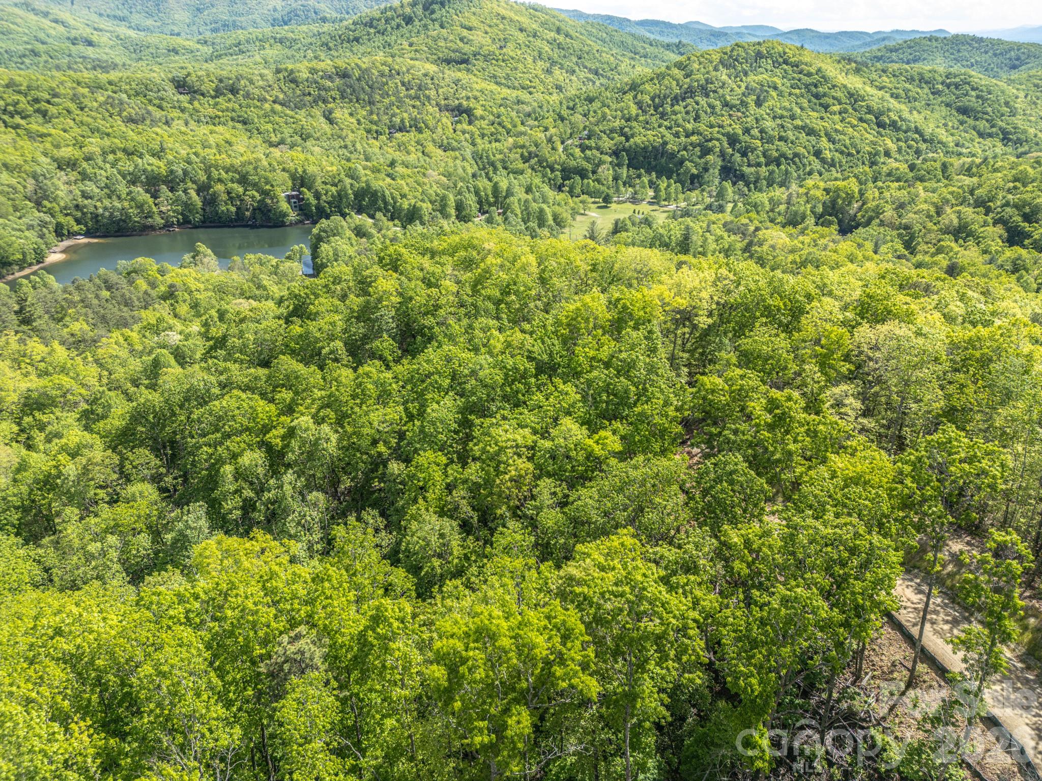10.1 Acres On Old Fort Road Fairview NC 28730