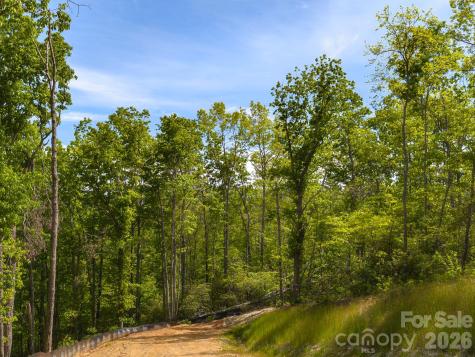 10.1 Acres On Old Fort Road Fairview NC 28730
