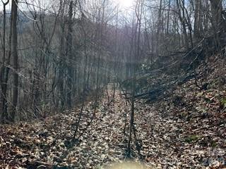 19 Blairstone Lane Maggie Valley NC 28751
