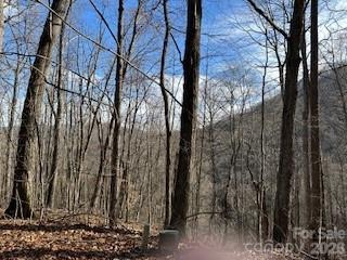 19 Blairstone Lane Maggie Valley NC 28751