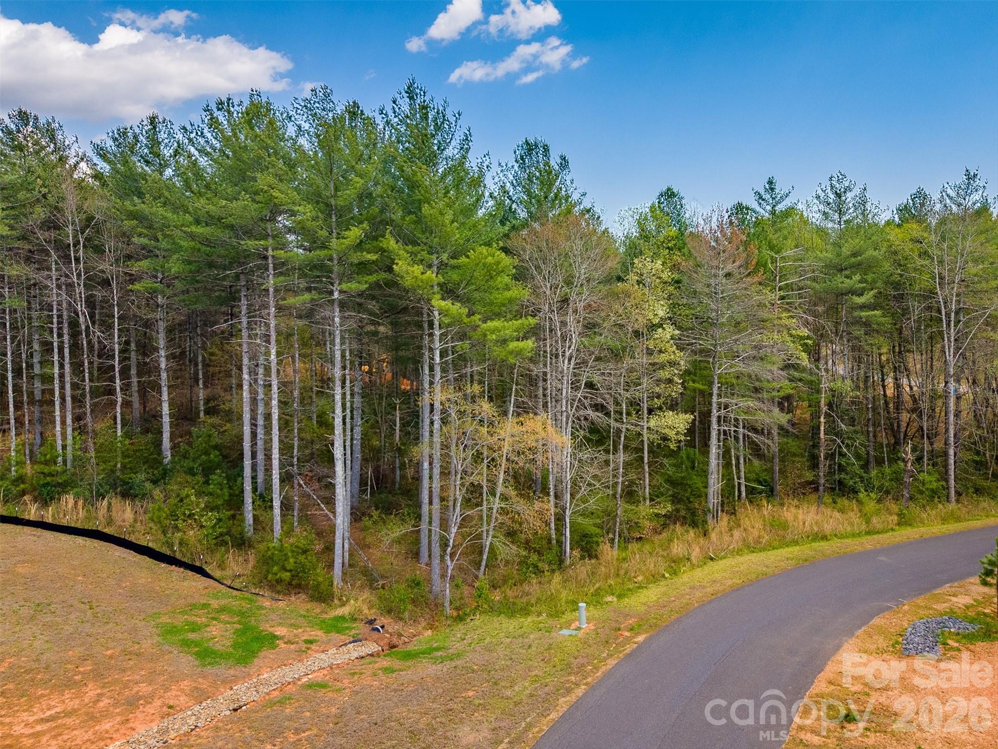 3175 Peninsula Pointe Drive NW Valdese NC 28690