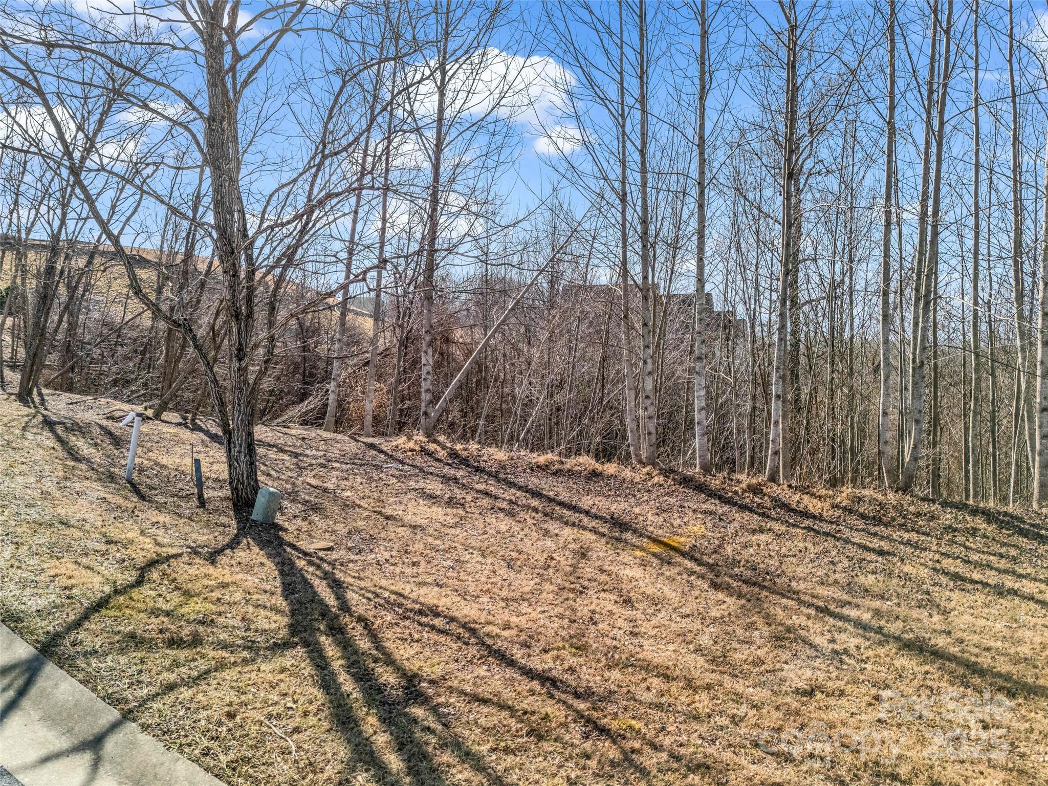 1509 Summit Hill Road Hendersonville NC 28791