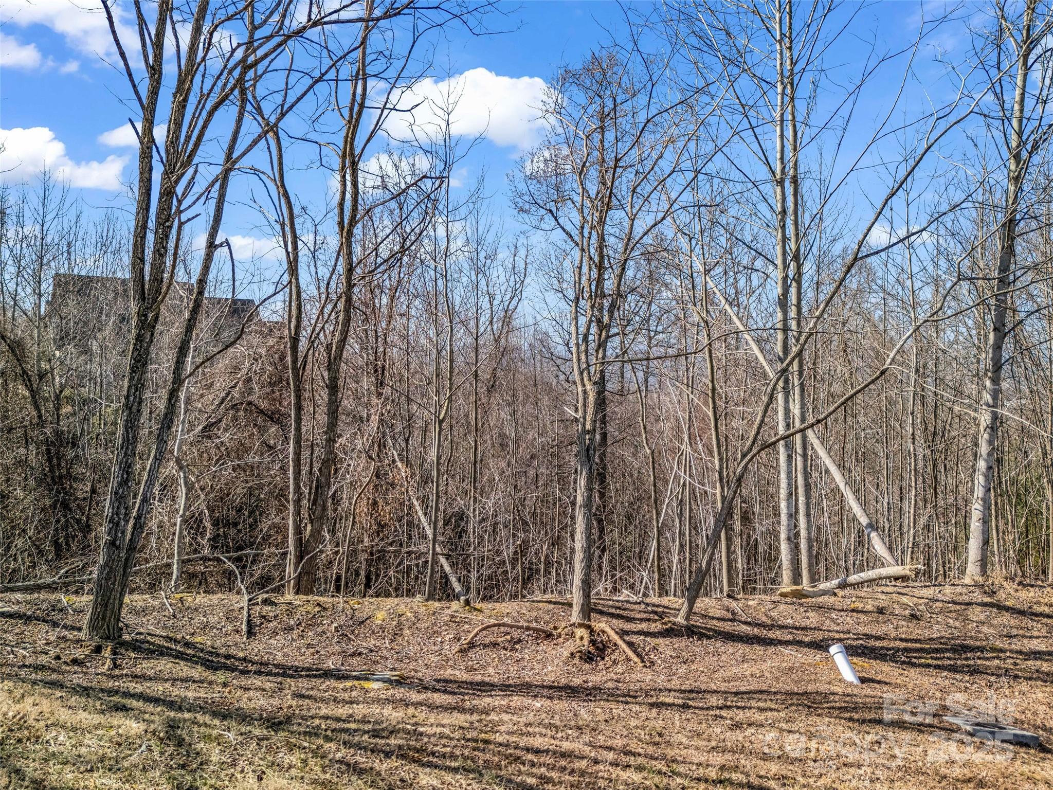 1509 Summit Hill Road Hendersonville NC 28791