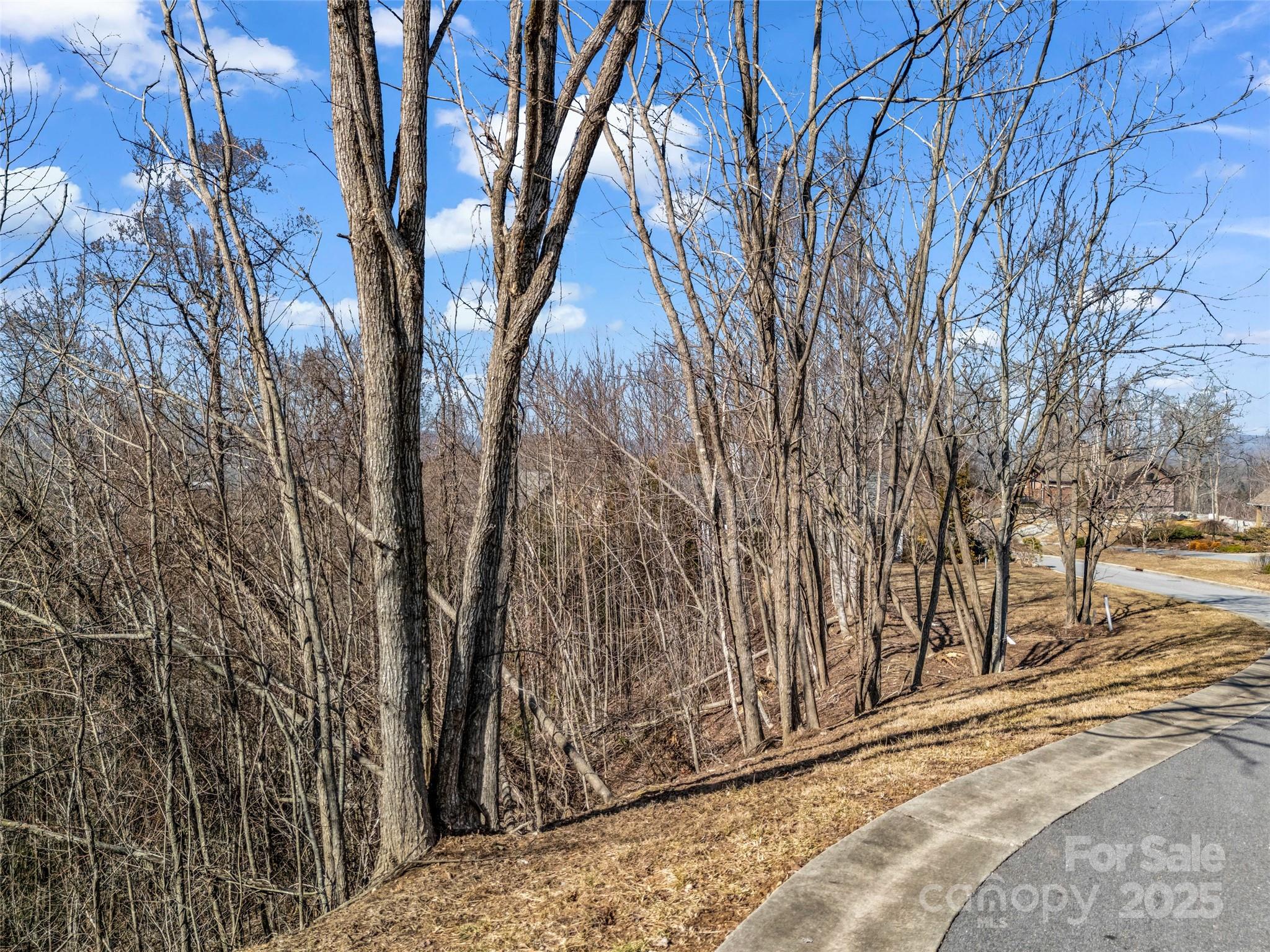 1509 Summit Hill Road Hendersonville NC 28791