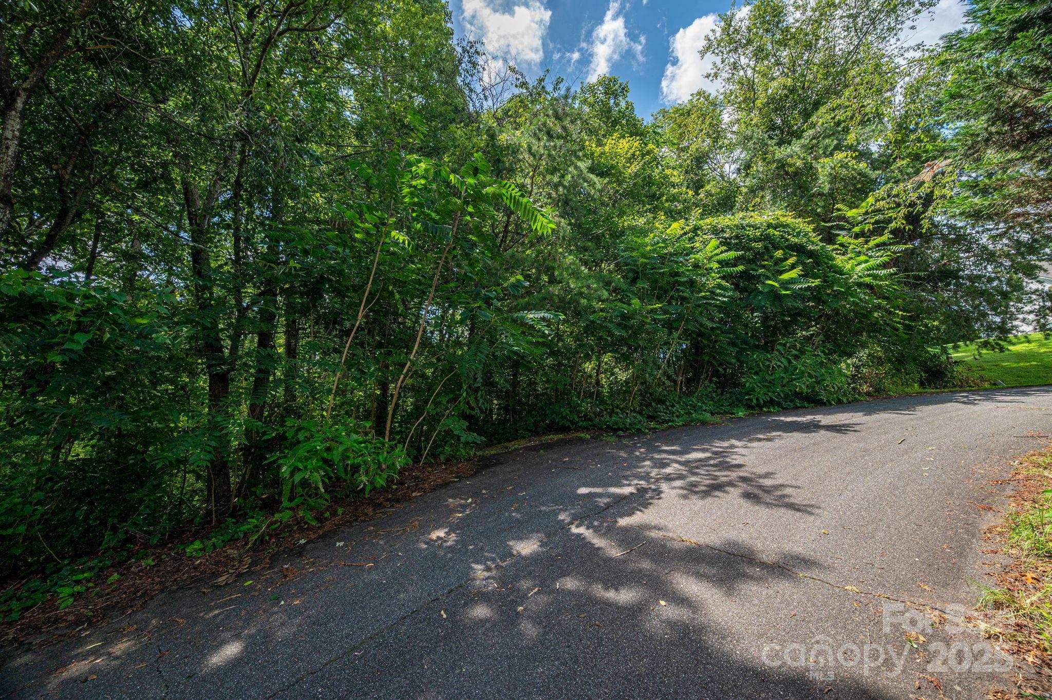 Lot 19 Line Drive Forest City NC 28043