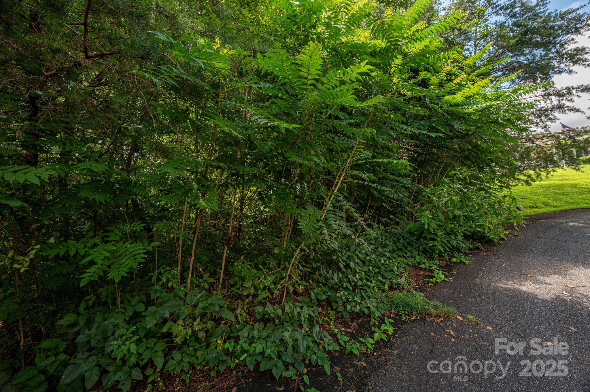 Lot 19 Line Drive Forest City NC 28043