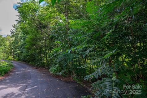 Lot 19 Line Drive Forest City NC 28043