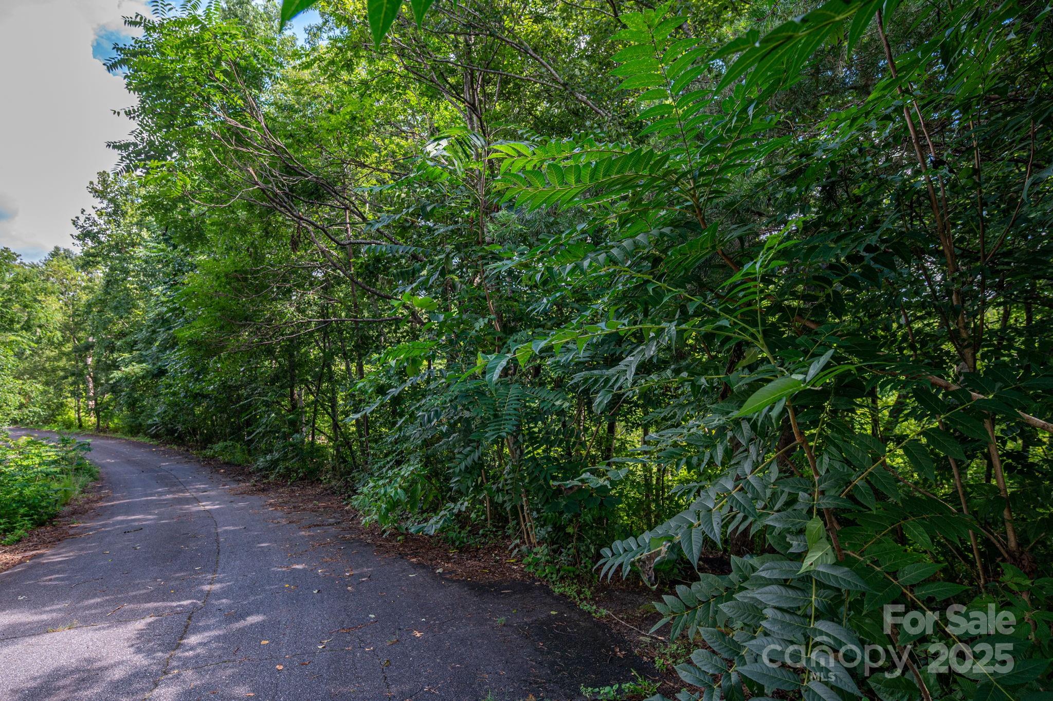 Lot 19 Line Drive Forest City NC 28043