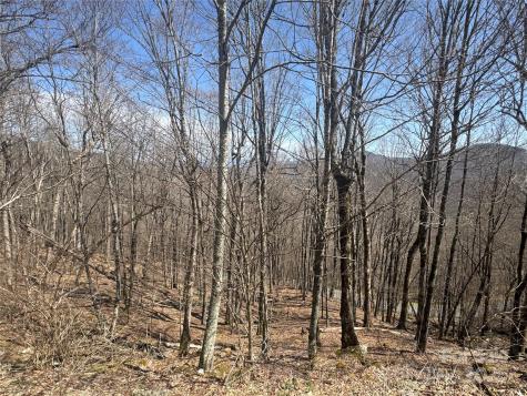 14 & 16 Overlook Drive Mars Hill NC 28754