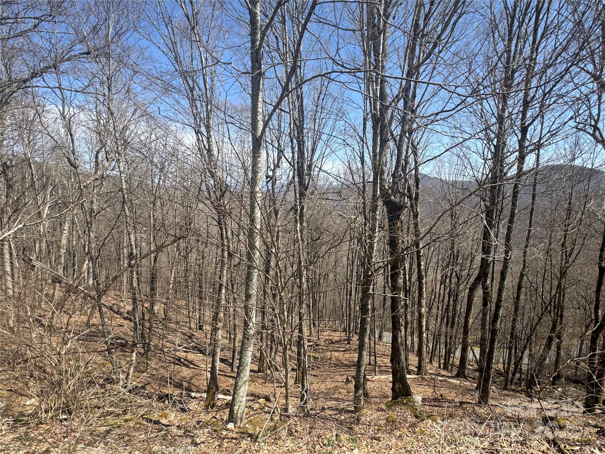 14 & 16 Overlook Drive Mars Hill NC 28754