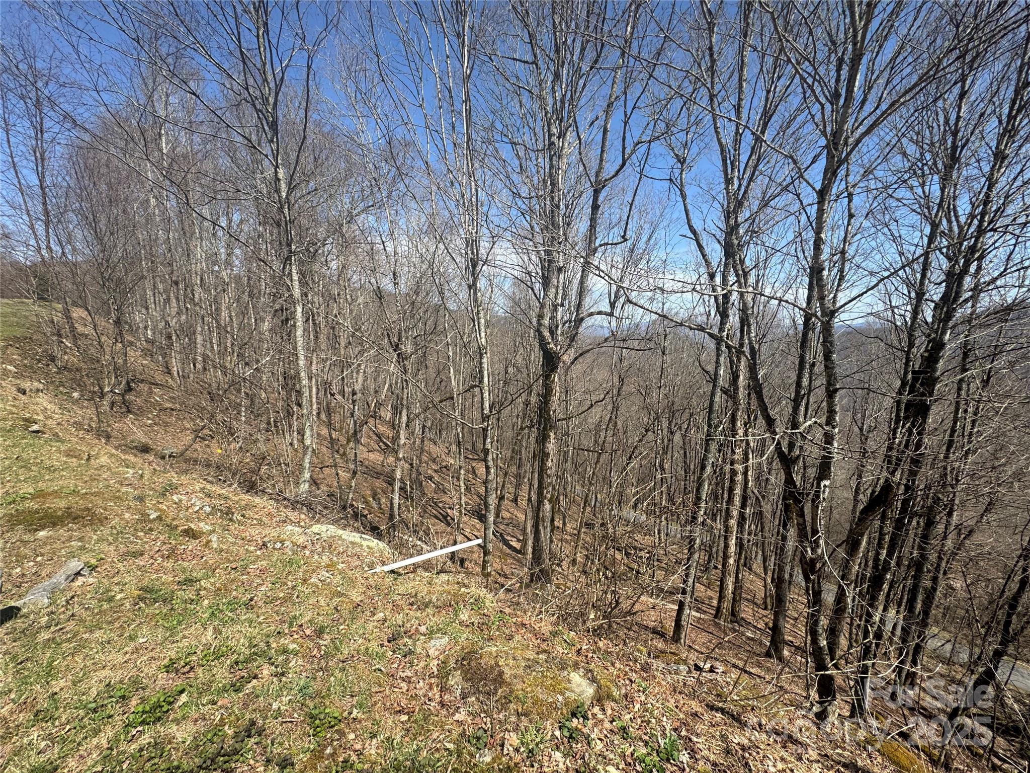 14 & 16 Overlook Drive Mars Hill NC 28754