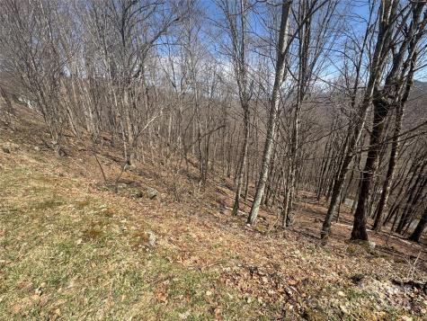 14 & 16 Overlook Drive Mars Hill NC 28754