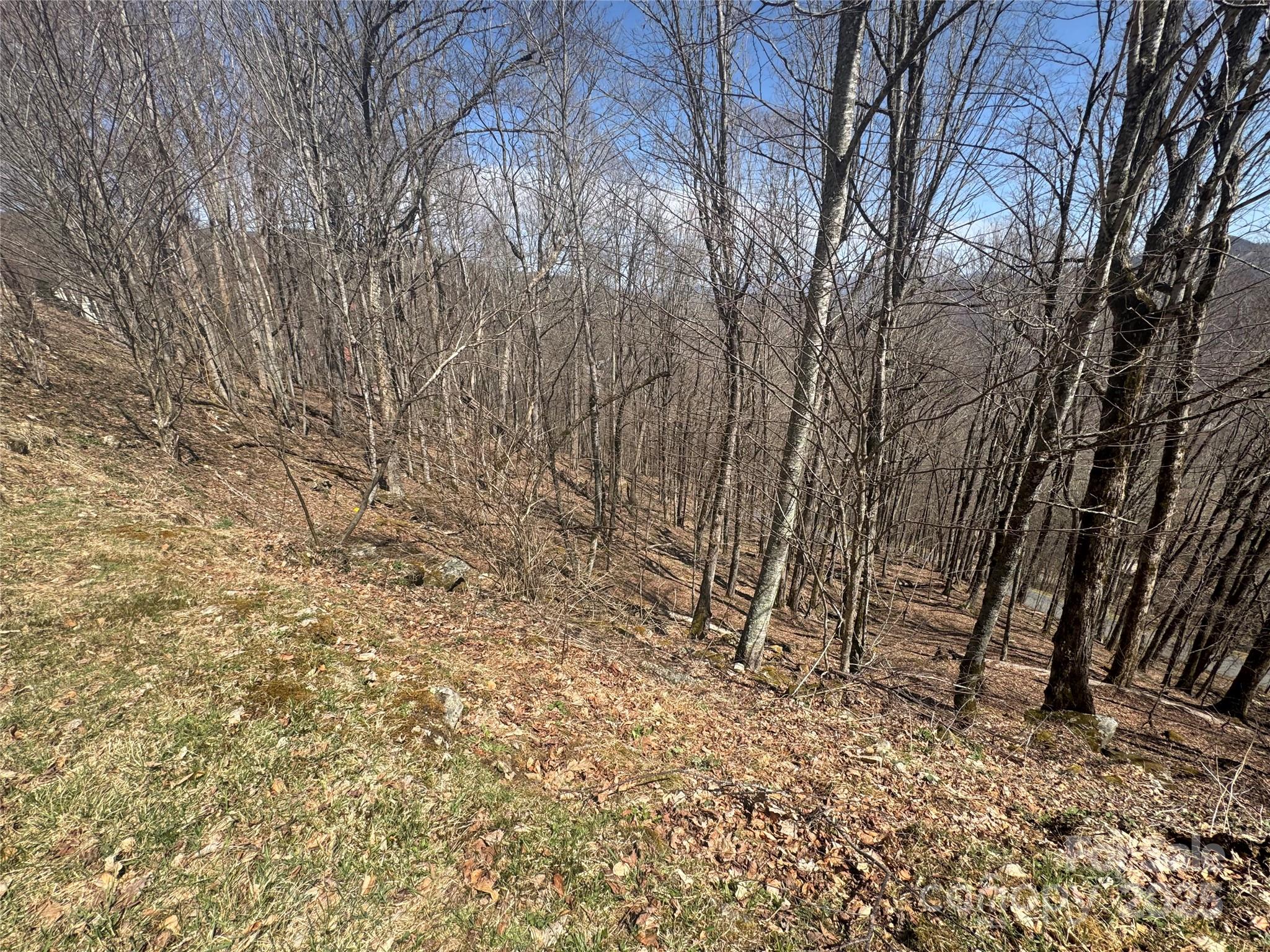 14 & 16 Overlook Drive Mars Hill NC 28754