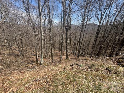 14 & 16 Overlook Drive Mars Hill NC 28754