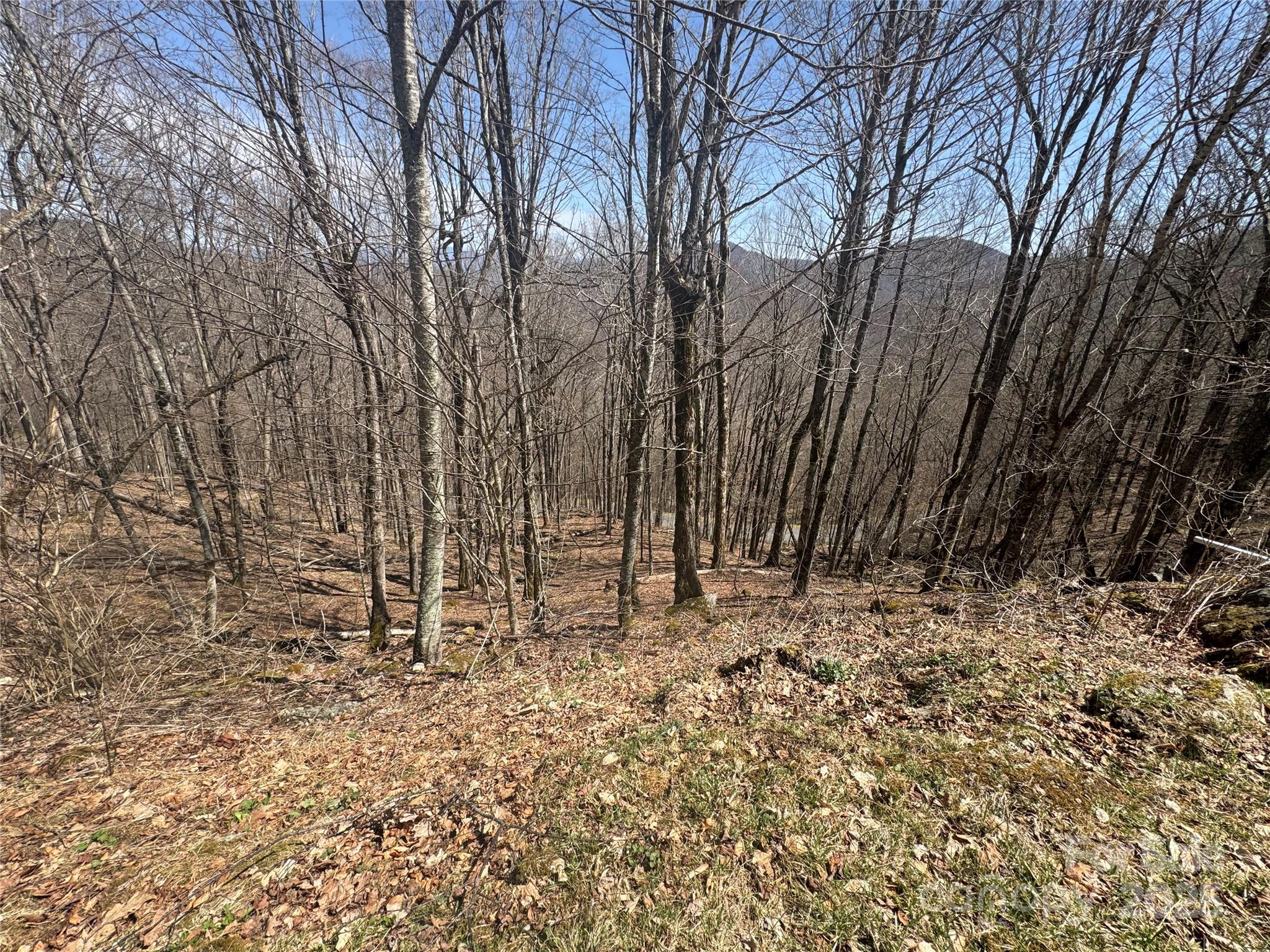 14 & 16 Overlook Drive Mars Hill NC 28754