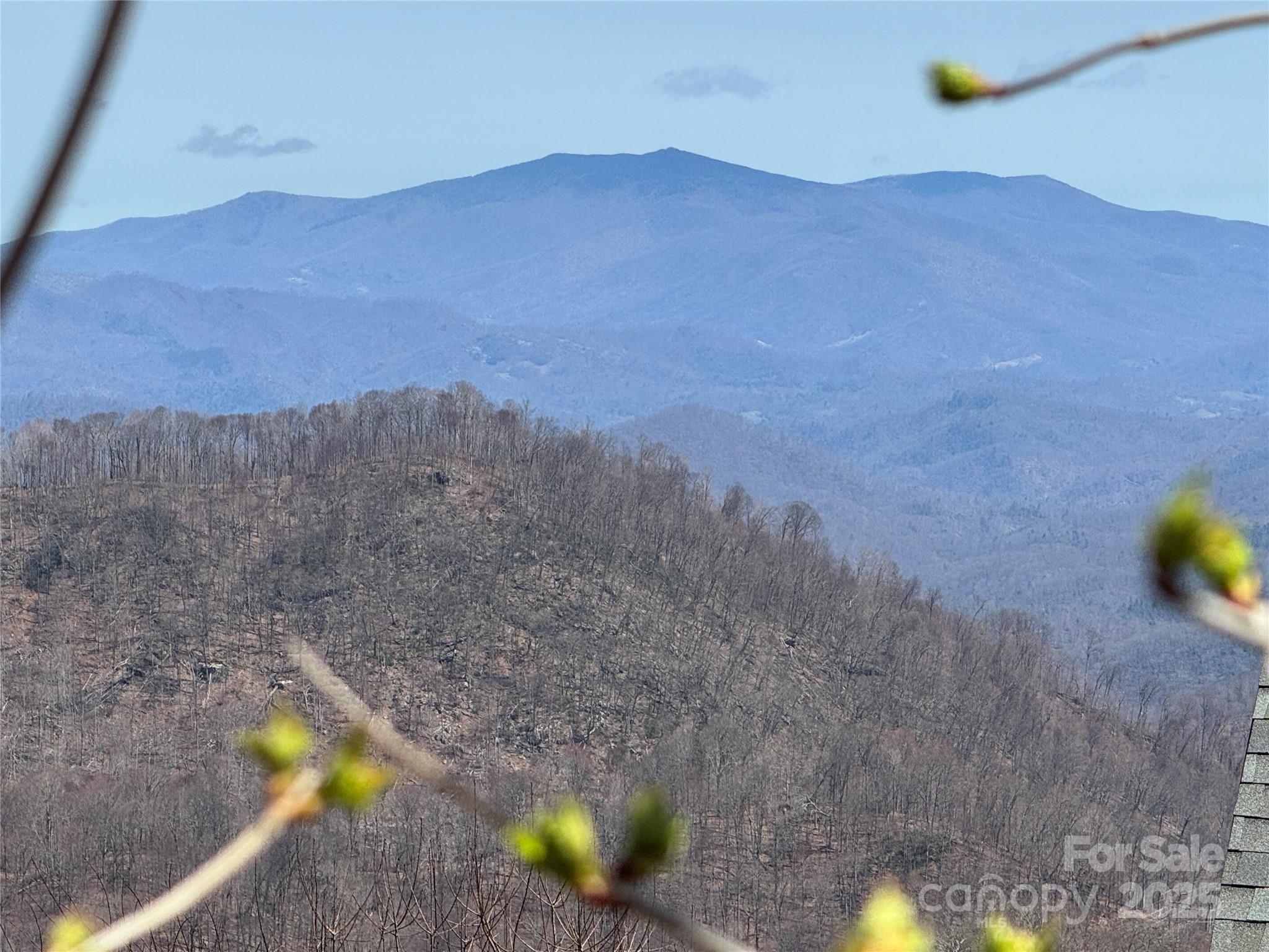 14 & 16 Overlook Drive Mars Hill NC 28754