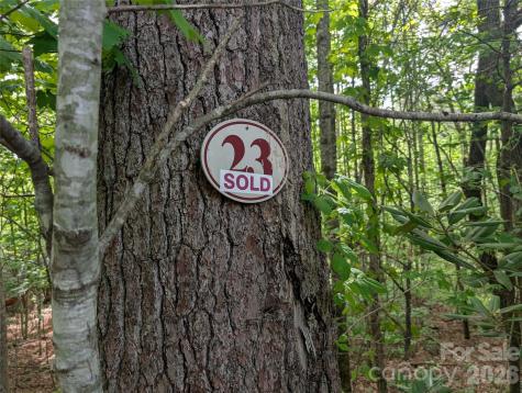 00 Hosta Lane Hendersonville NC 28739