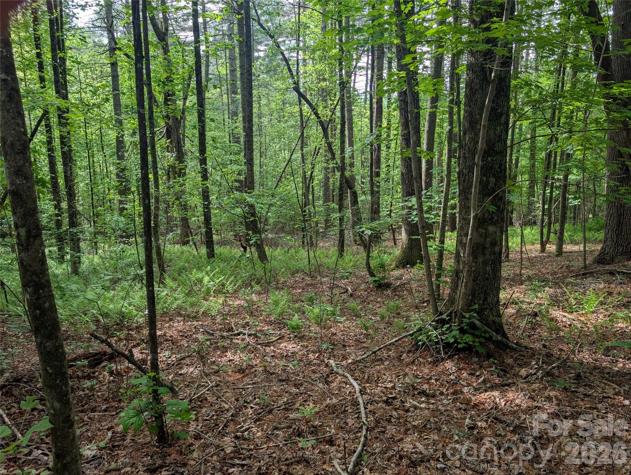 00 Hosta Lane Hendersonville NC 28739