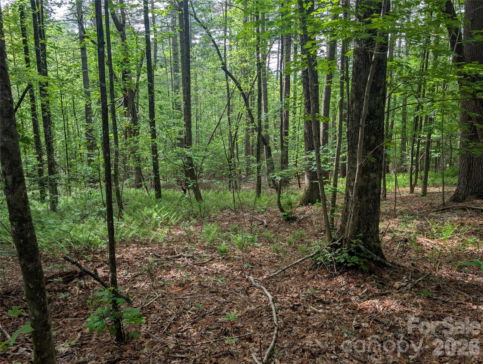 00 Hosta Lane Hendersonville NC 28739