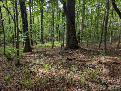 00 Hosta Lane Hendersonville NC 28739