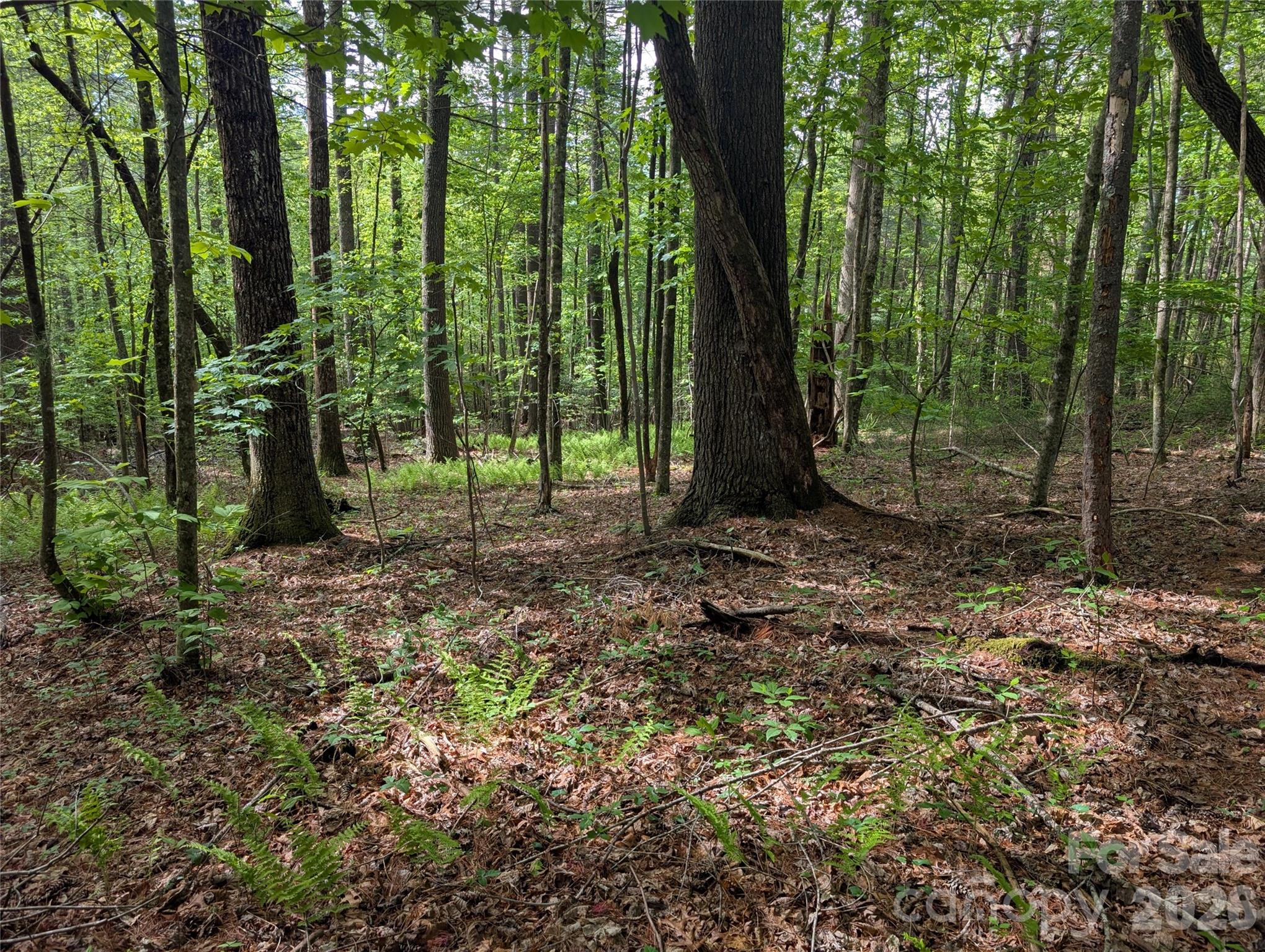 00 Hosta Lane Hendersonville NC 28739