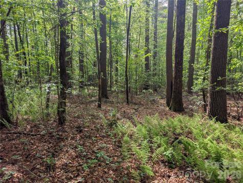 00 Hosta Lane Hendersonville NC 28739
