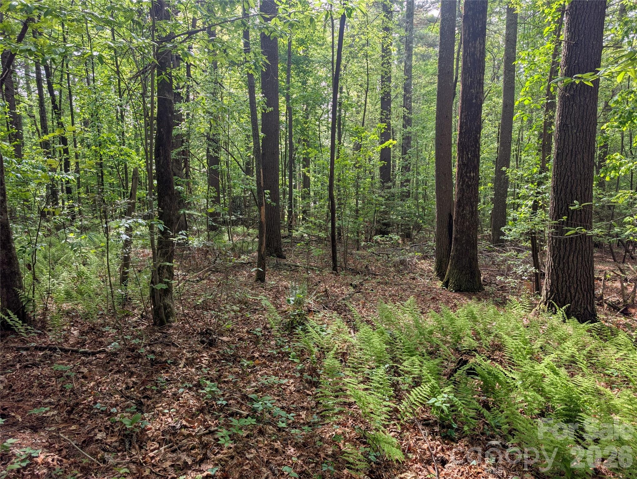 00 Hosta Lane Hendersonville NC 28739