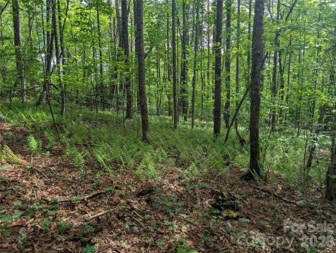 00 Hosta Lane Hendersonville NC 28739