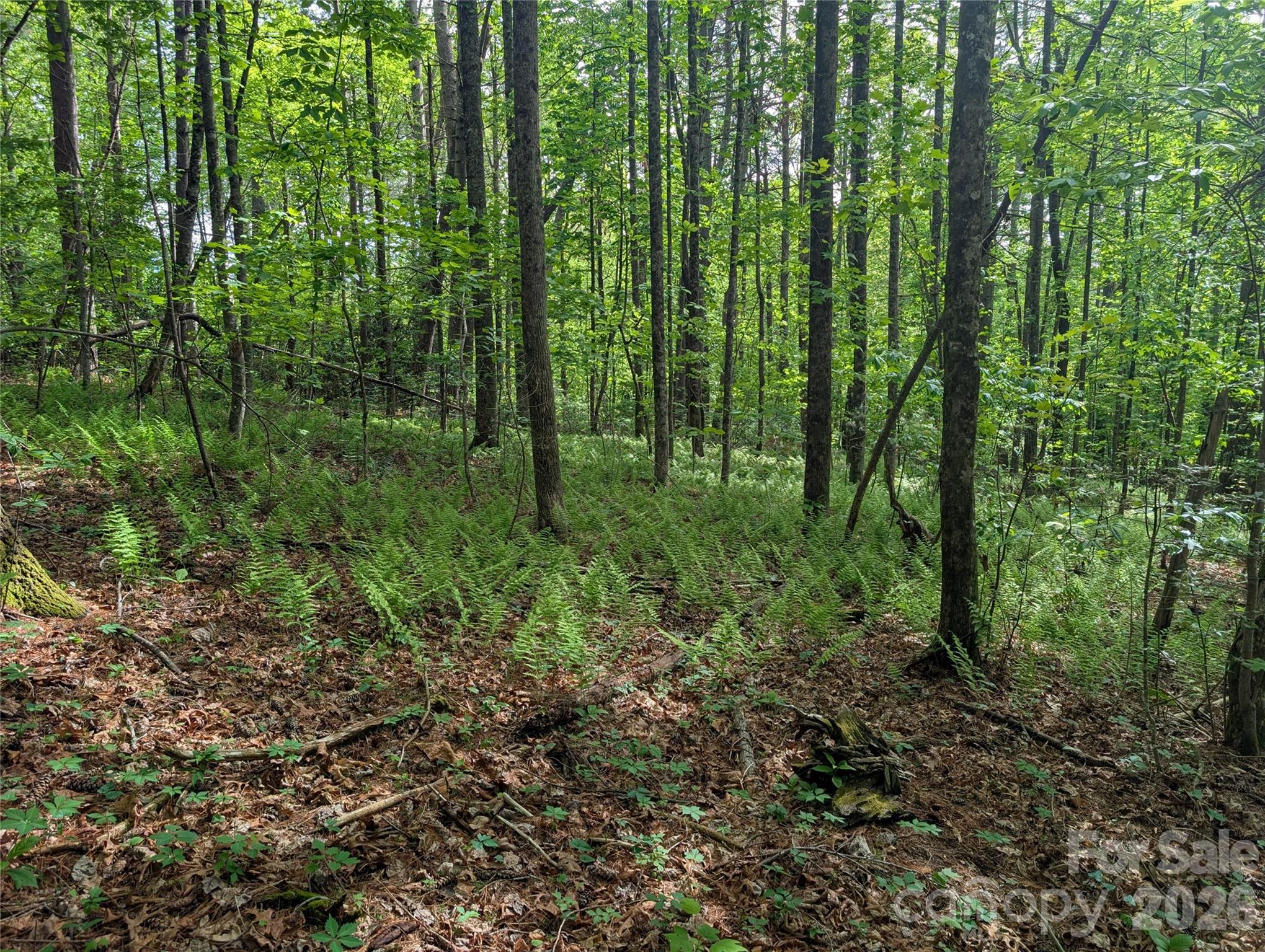 00 Hosta Lane Hendersonville NC 28739