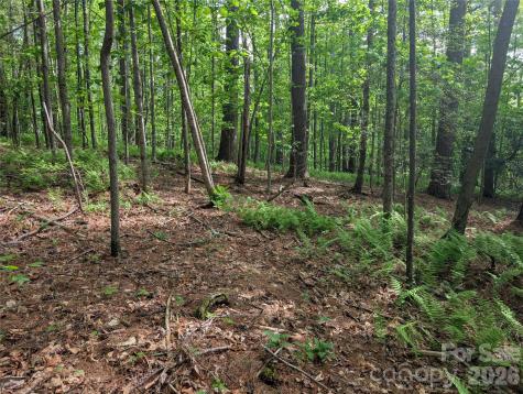 00 Hosta Lane Hendersonville NC 28739