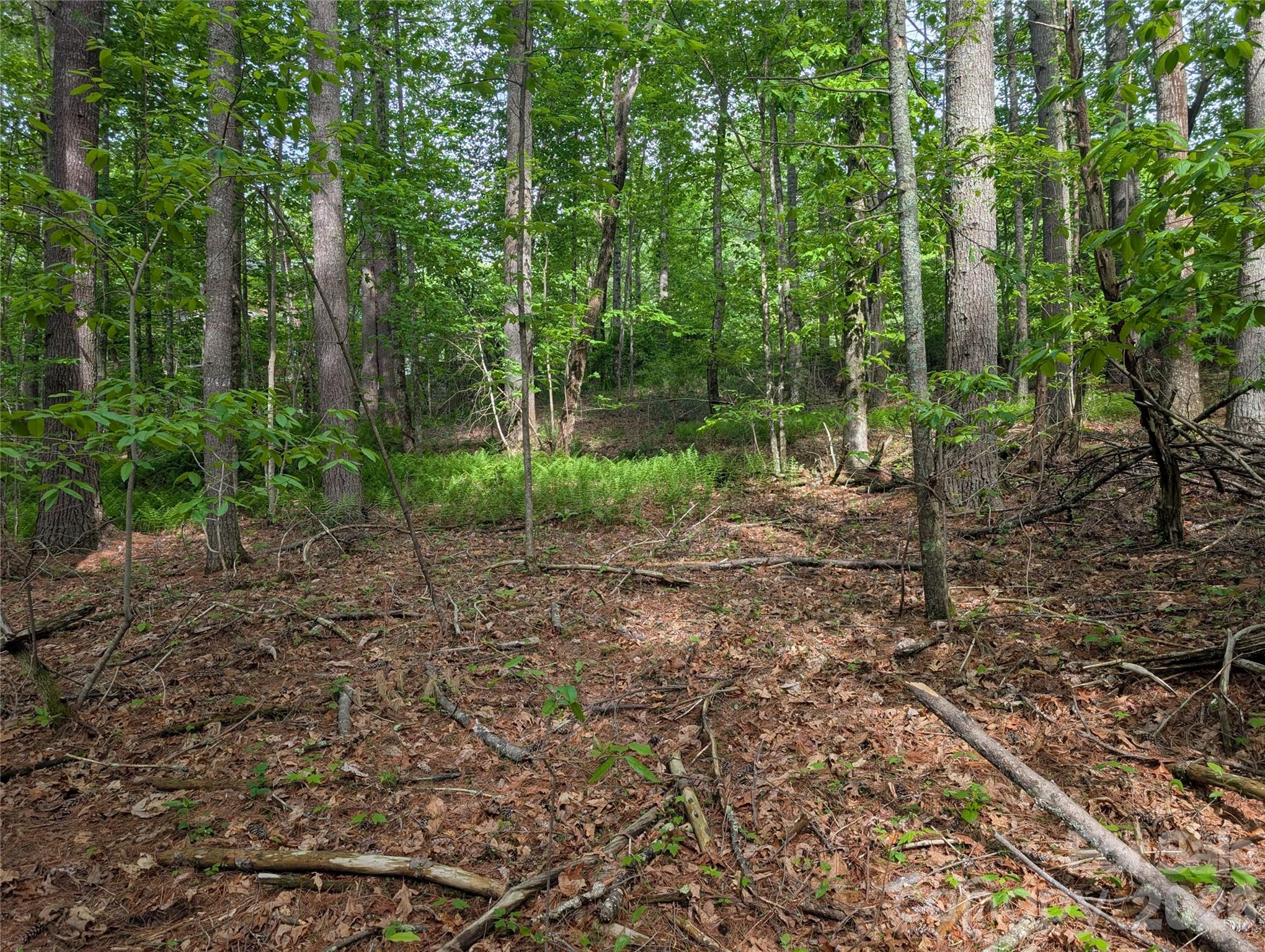 00 Hosta Lane Hendersonville NC 28739