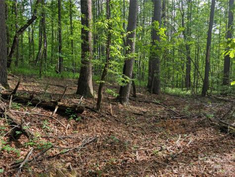 00 Hosta Lane Hendersonville NC 28739