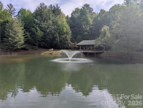 00 Hosta Lane Hendersonville NC 28739