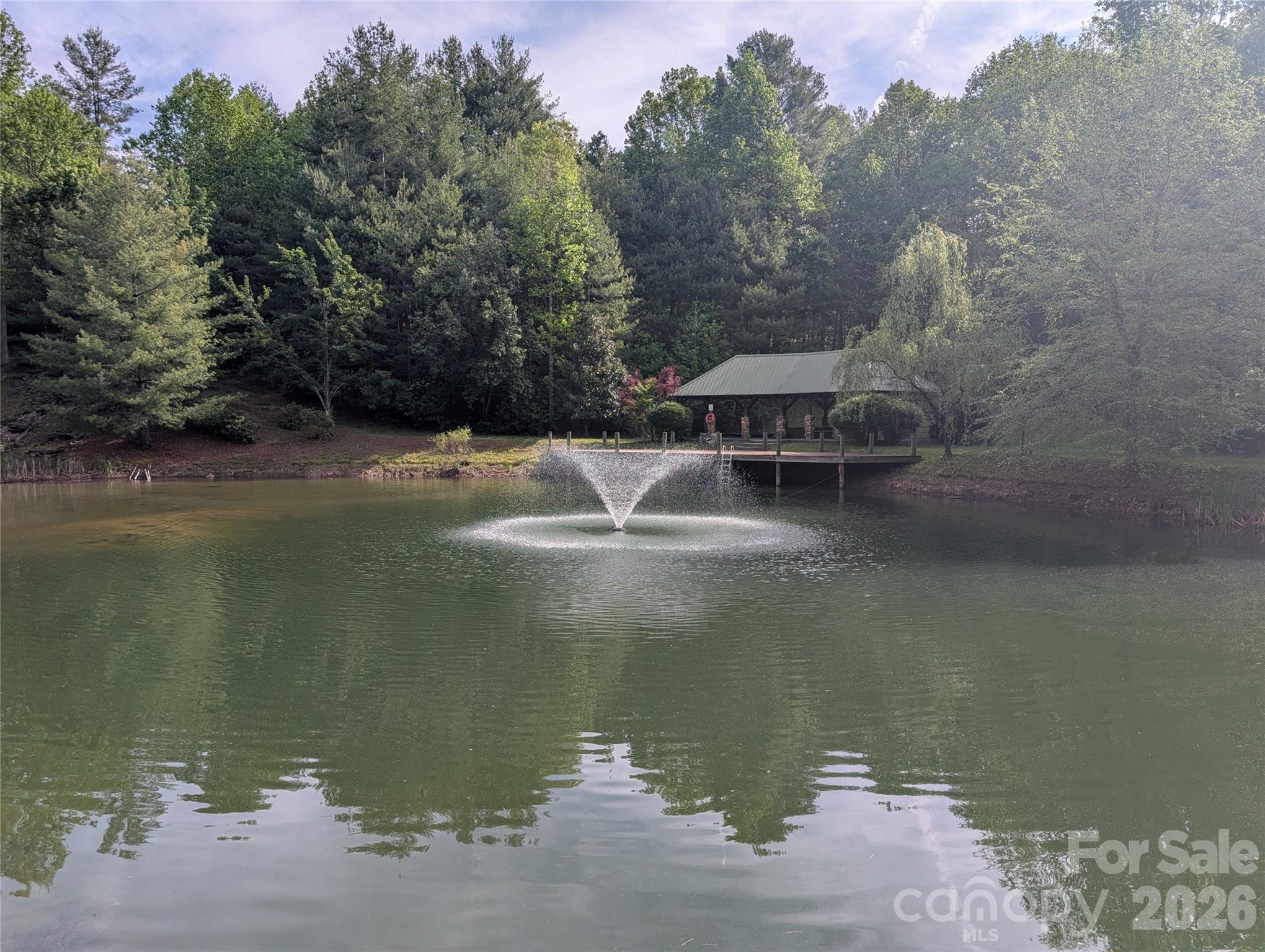 00 Hosta Lane Hendersonville NC 28739