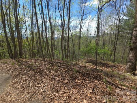0 Winding Way Drive Franklin NC 28734
