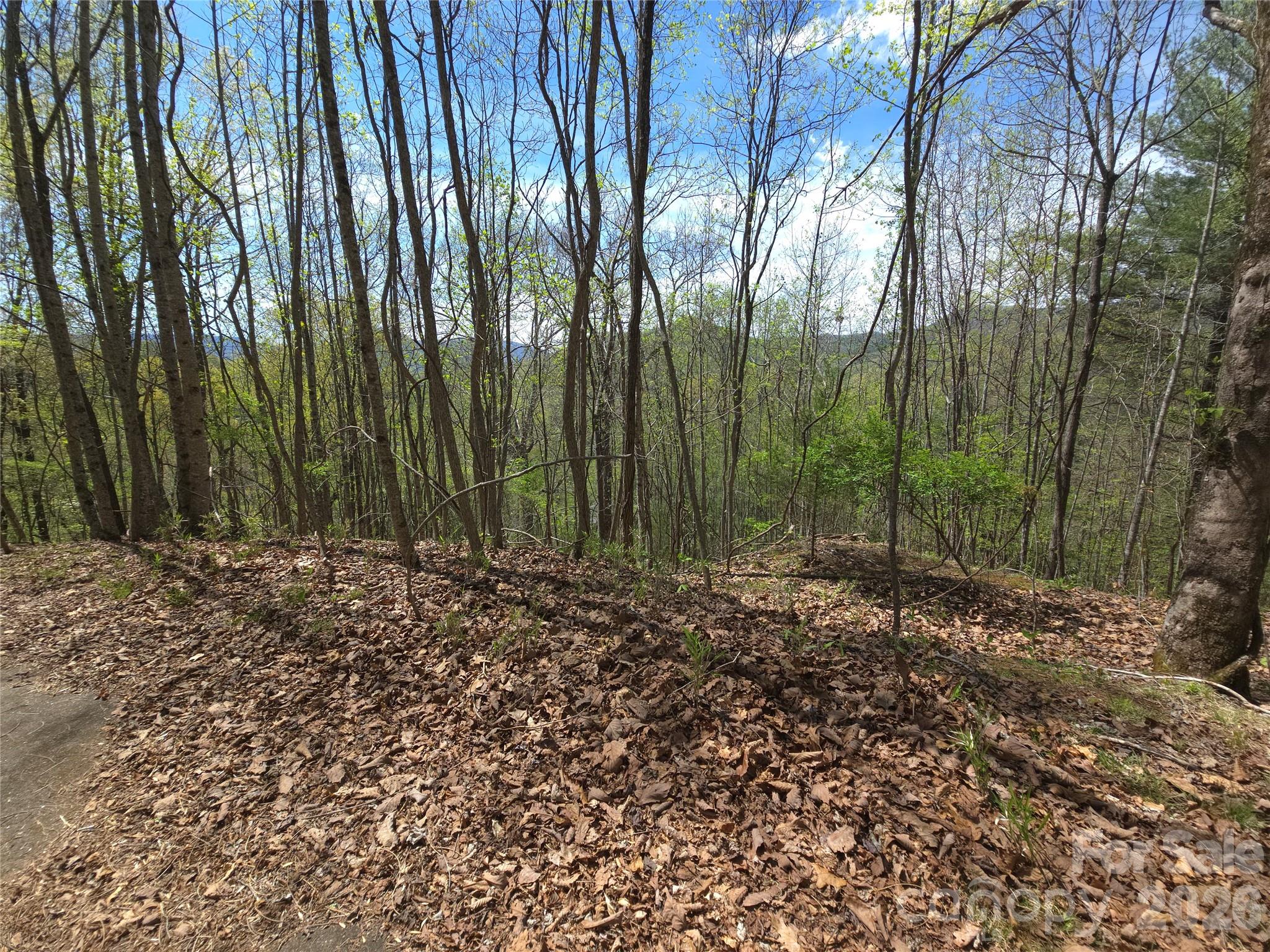 0 Winding Way Drive Franklin NC 28734