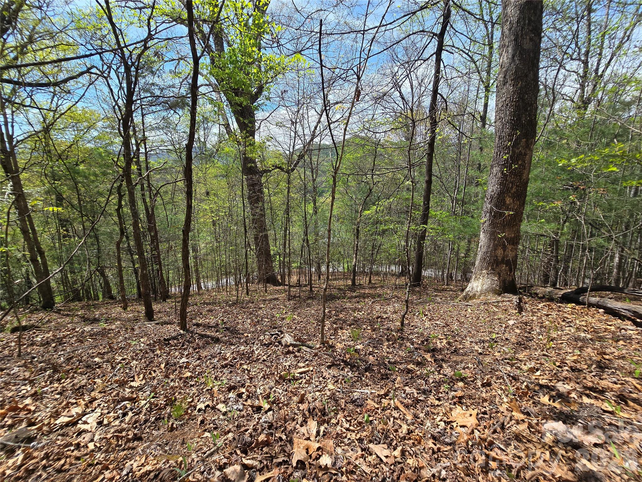 0 Winding Way Drive Franklin NC 28734