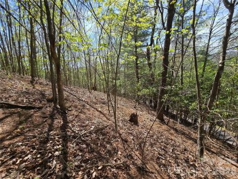 0 Winding Way Drive Franklin NC 28734