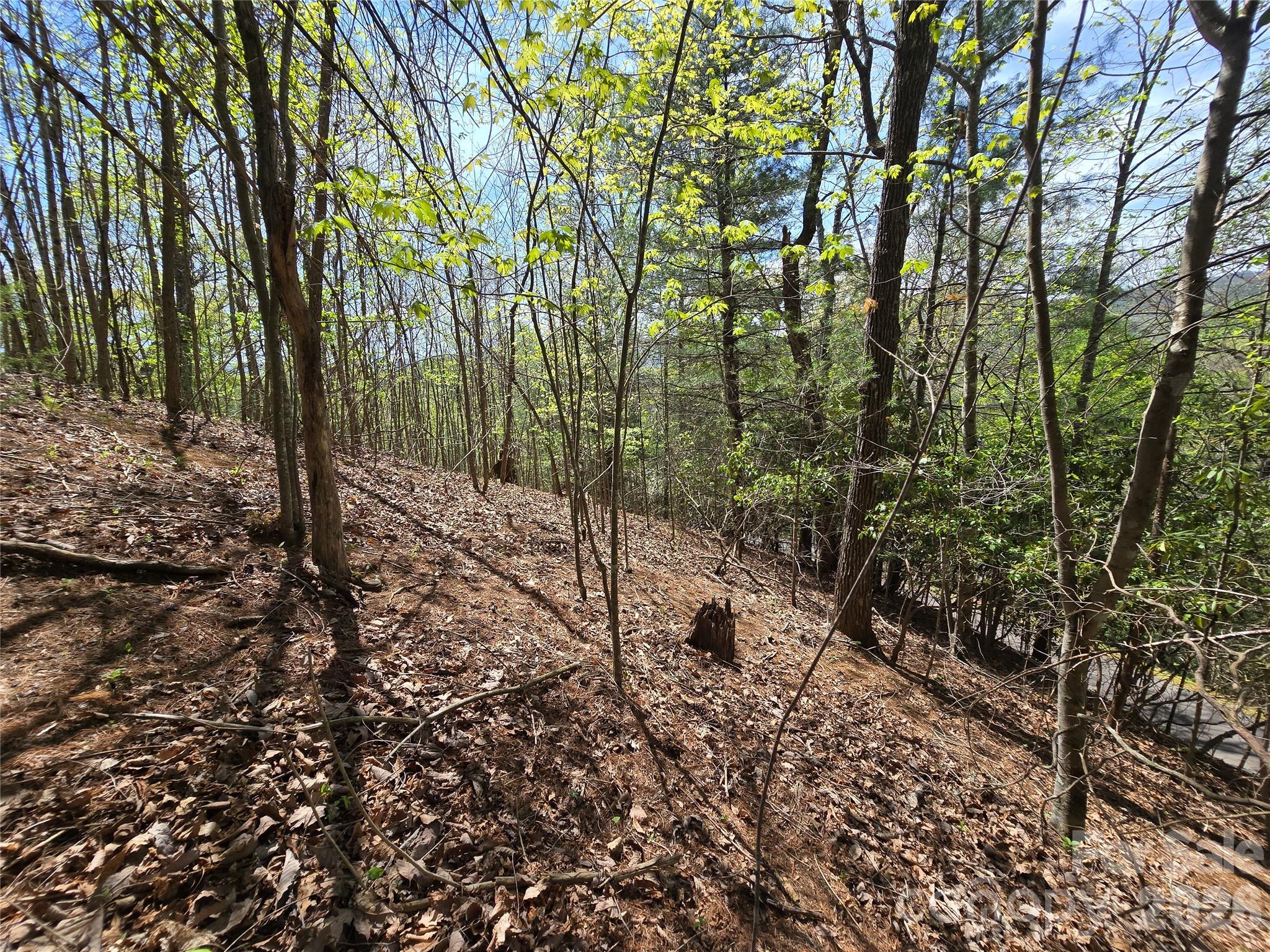 0 Winding Way Drive Franklin NC 28734