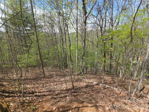 0 Winding Way Drive Franklin NC 28734