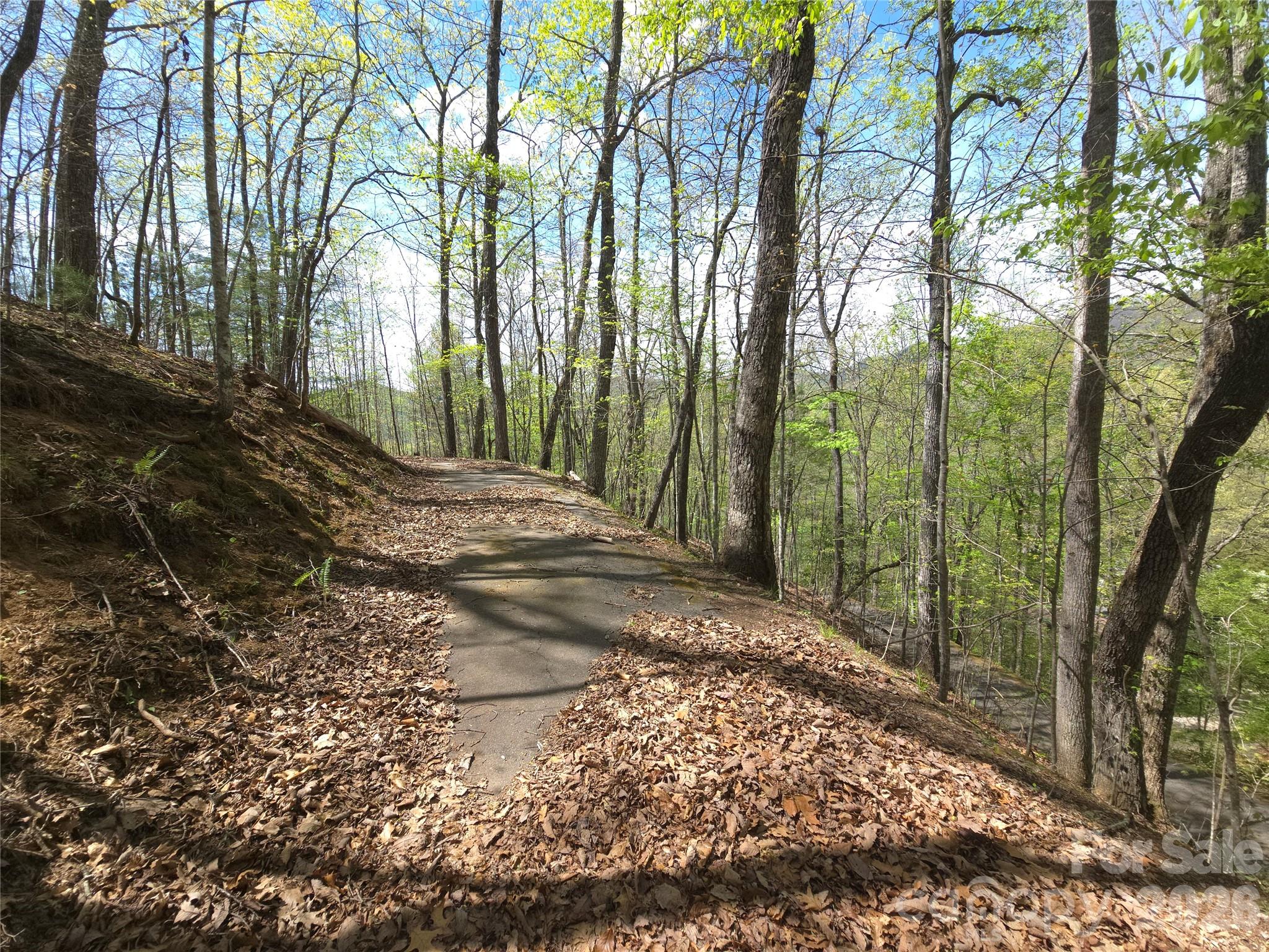 0 Winding Way Drive Franklin NC 28734