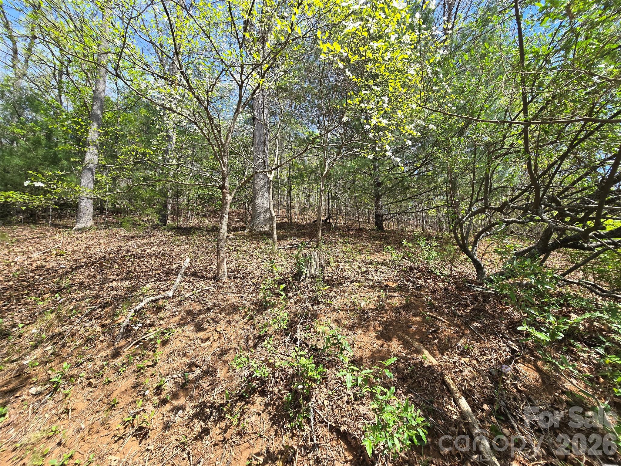 0 Winding Way Drive Franklin NC 28734