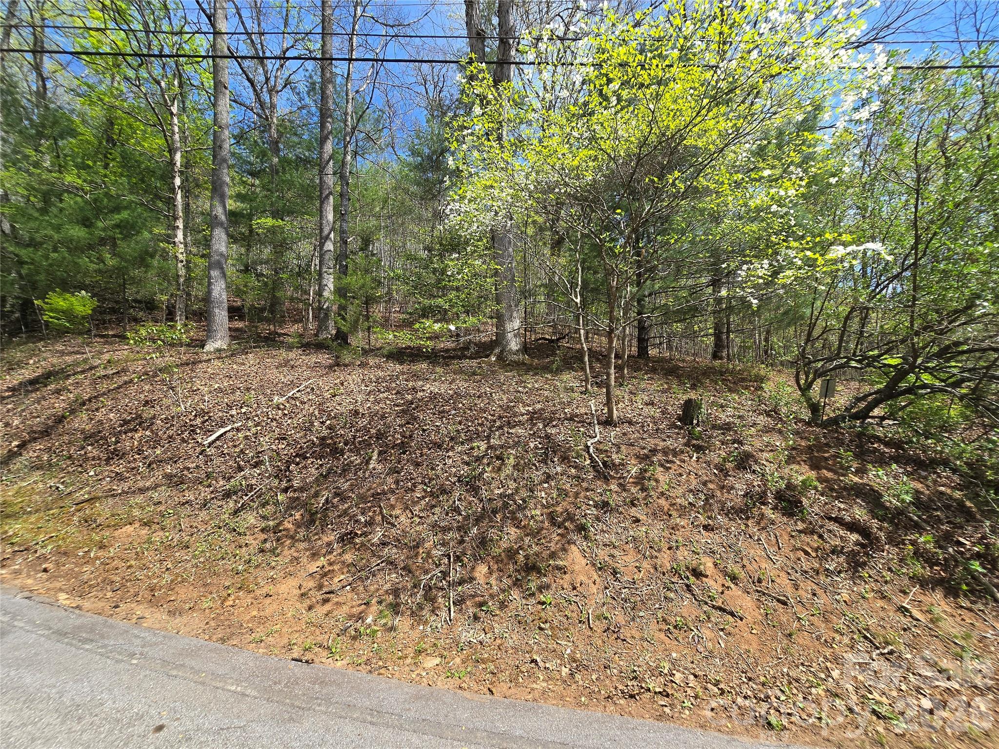 0 Winding Way Drive Franklin NC 28734