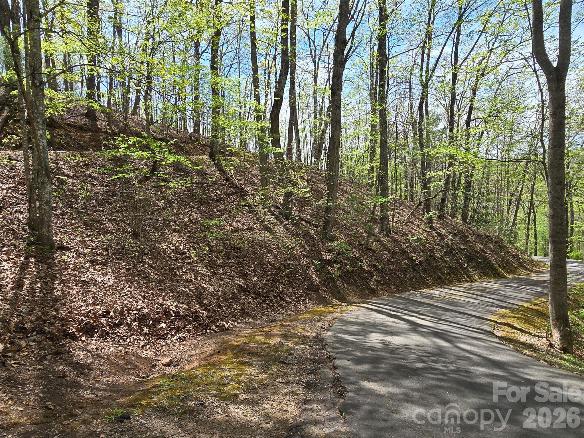 0 Winding Way Drive Franklin NC 28734
