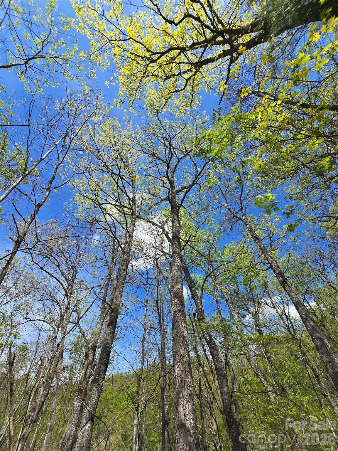 0 Winding Way Drive Franklin NC 28734