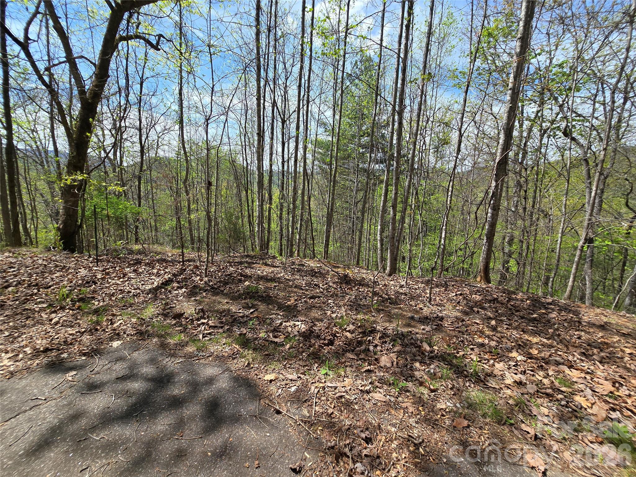 0 Winding Way Drive Franklin NC 28734