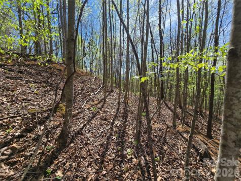 0 Winding Way Drive Franklin NC 28734